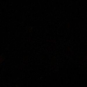 Meet your Posher, Charlene